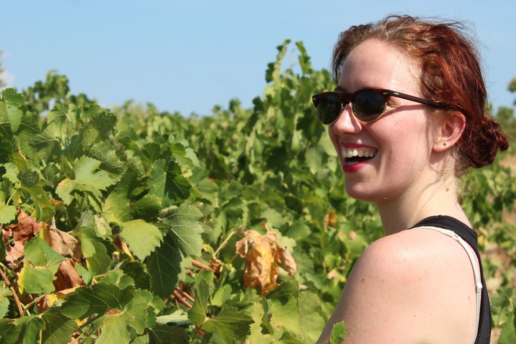 Vendanges Mas 3Sol - 2016